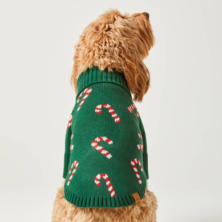 Candy Cane holiday jumper