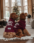 Santa's Little Helper | Roll Neck Knit Dog Jumper