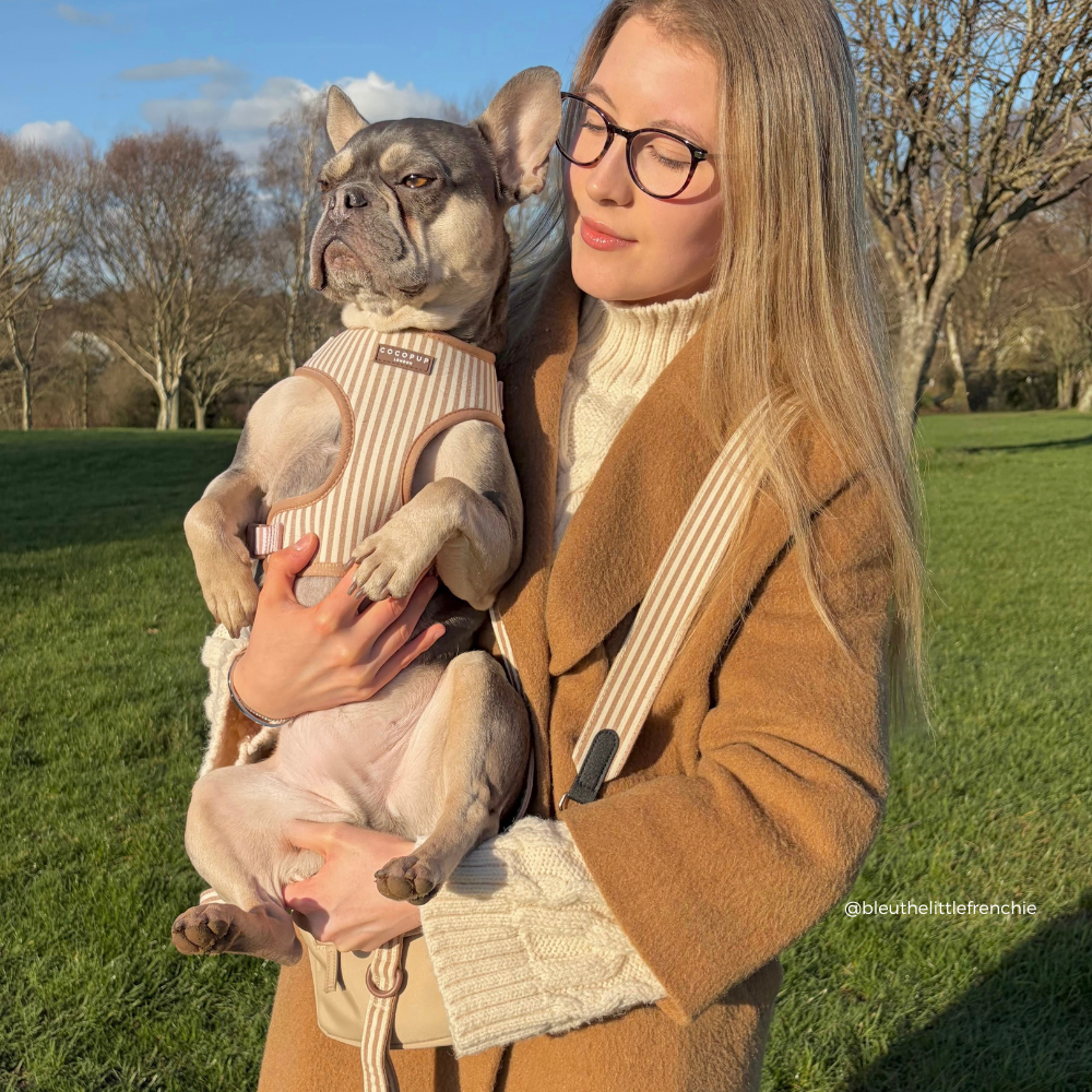 London Linen Stripes Adjustable Neck HARNESS
