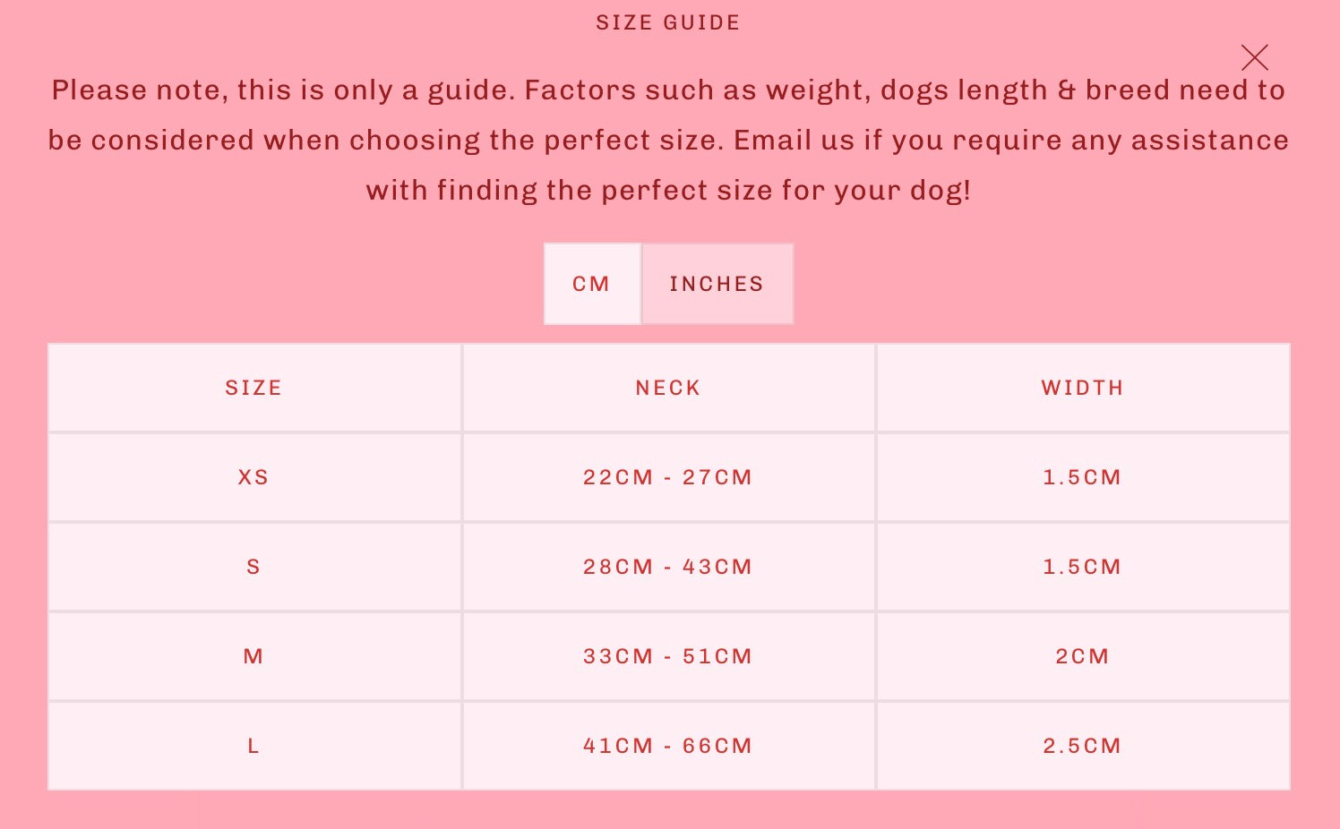 Baby blue bow collar pablo & Co