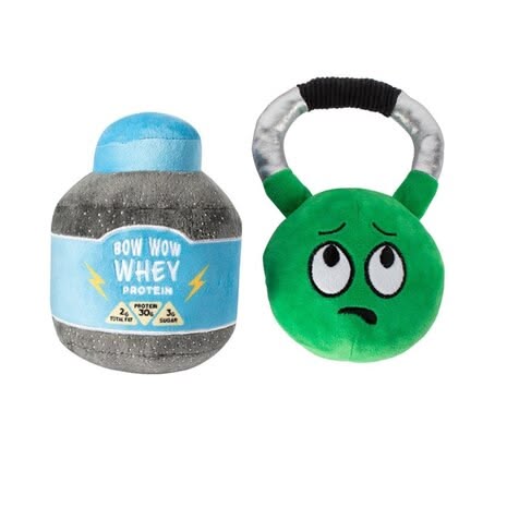 Sore today, strong tomorrow dog toy