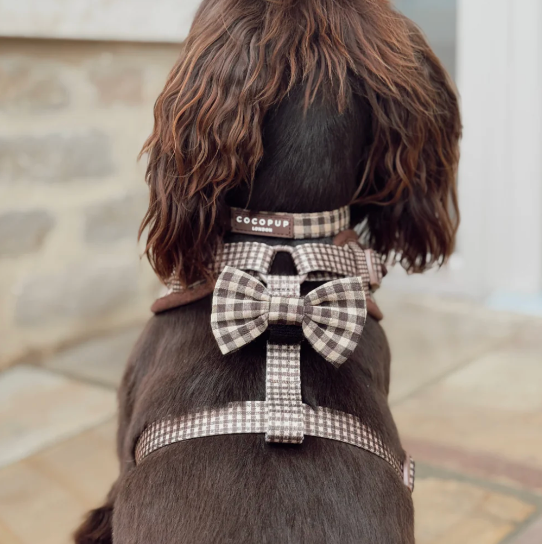 Cotswolds Check COLLAR