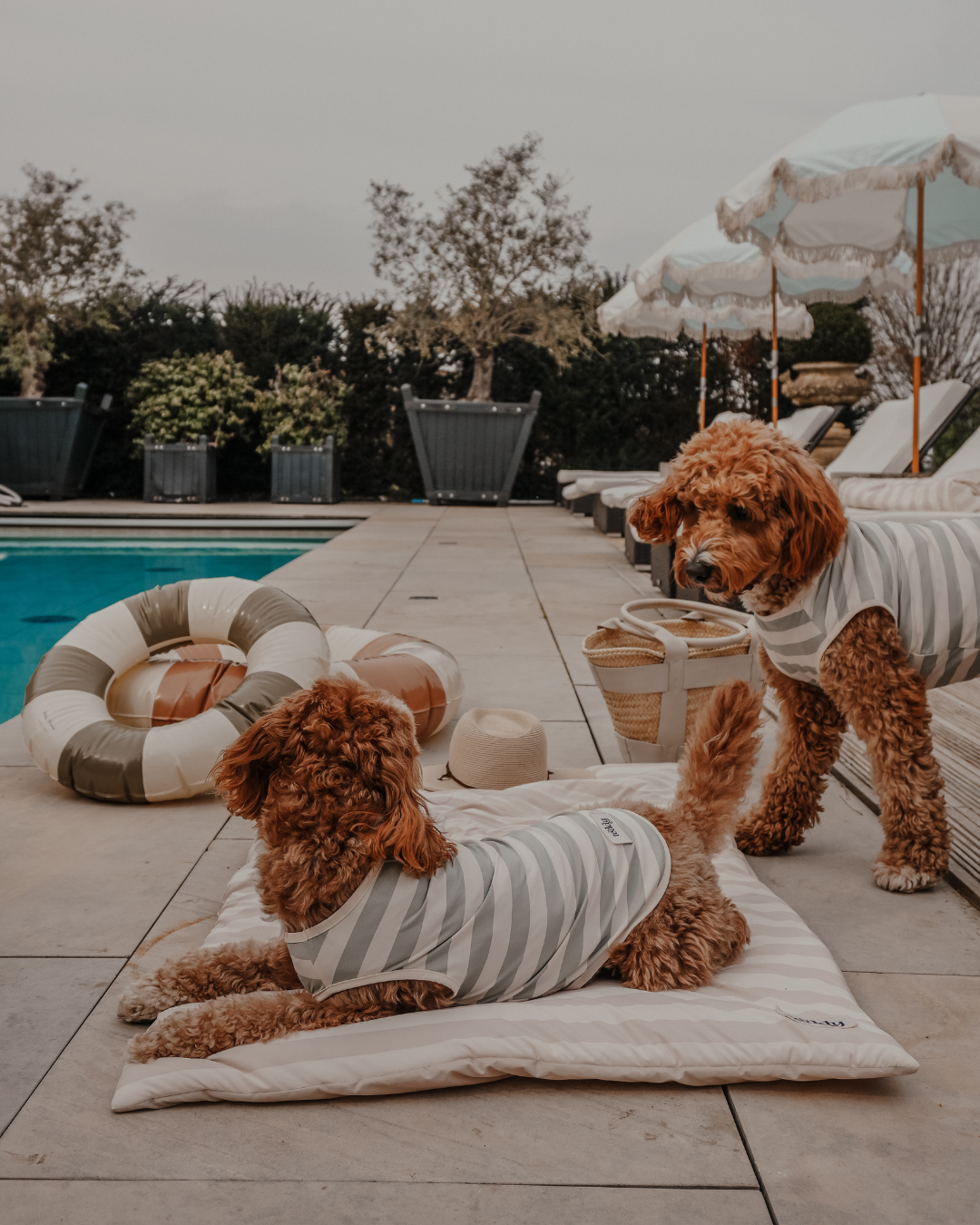 Summer Breeze Cooling Mat