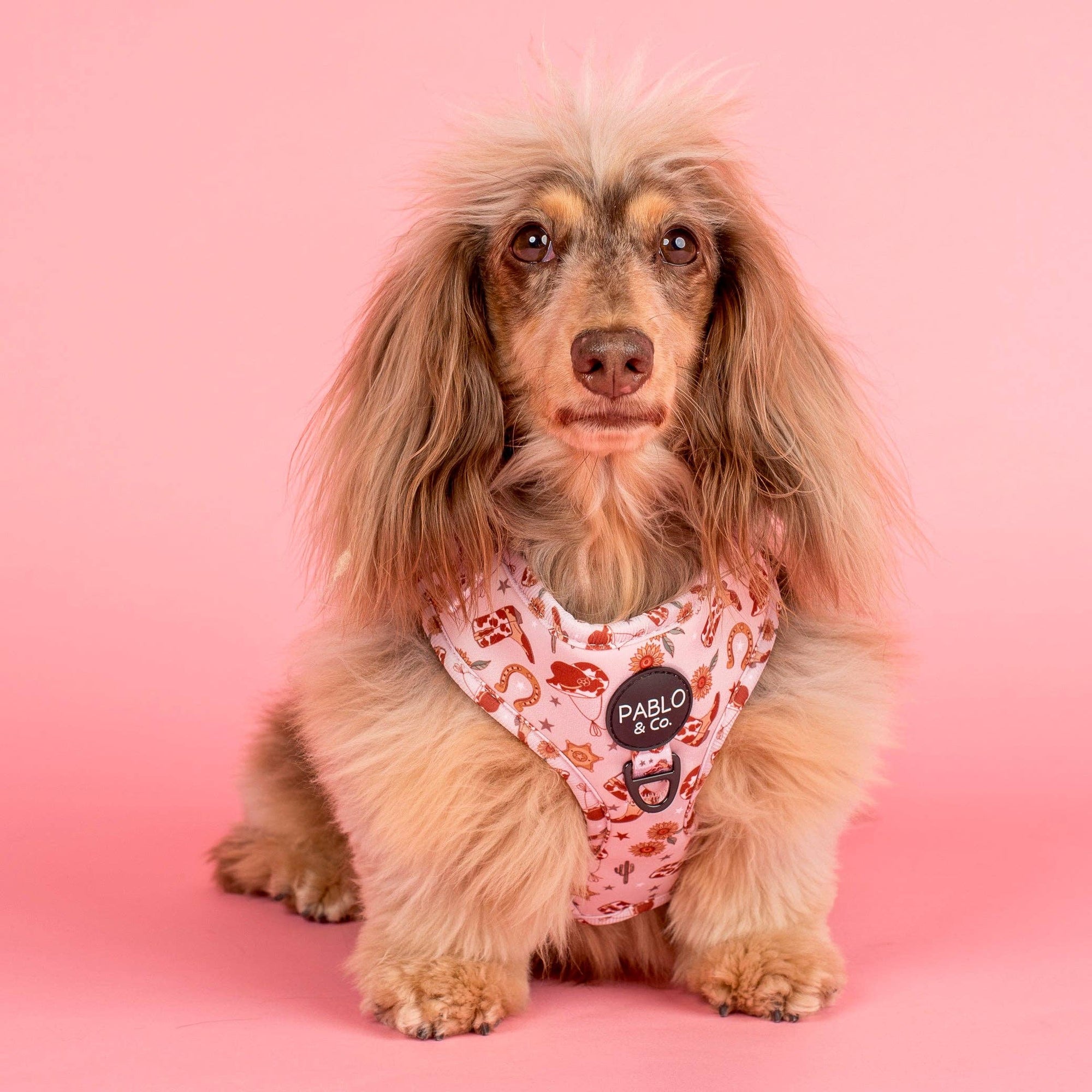 Howdy Adjustable Dog Harness