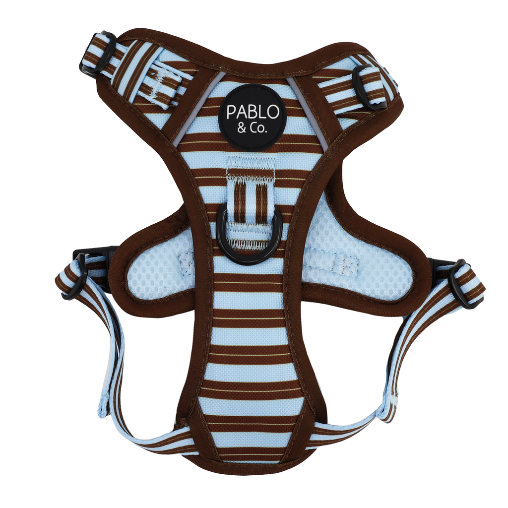 Sunday Stripes: No Pull Adventure Dog Harness