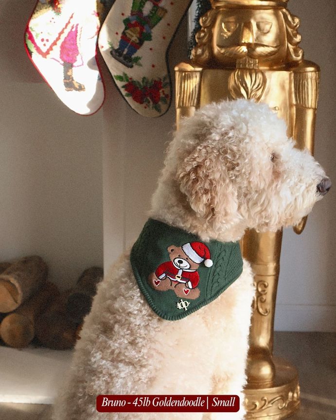 Holiday Teddy Bandana