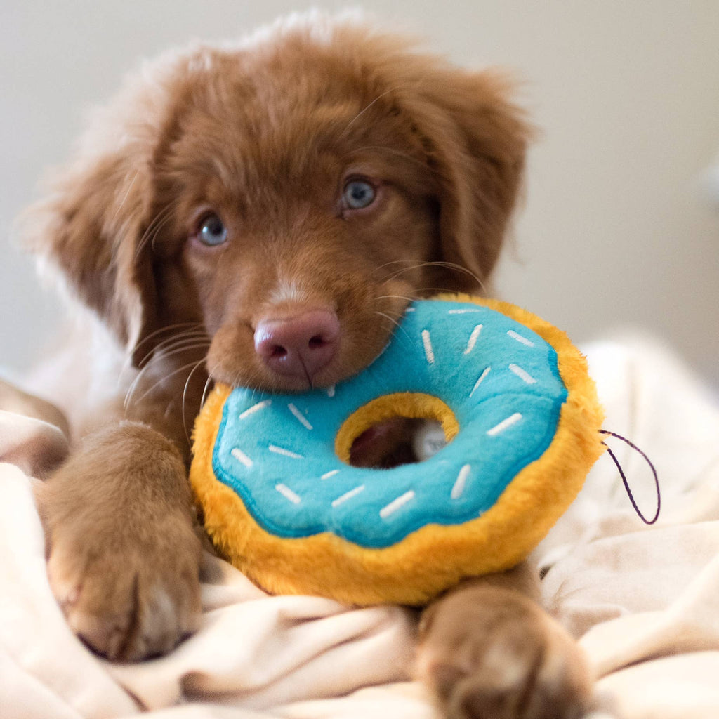 Donutz - Blueberry - Dog Toy