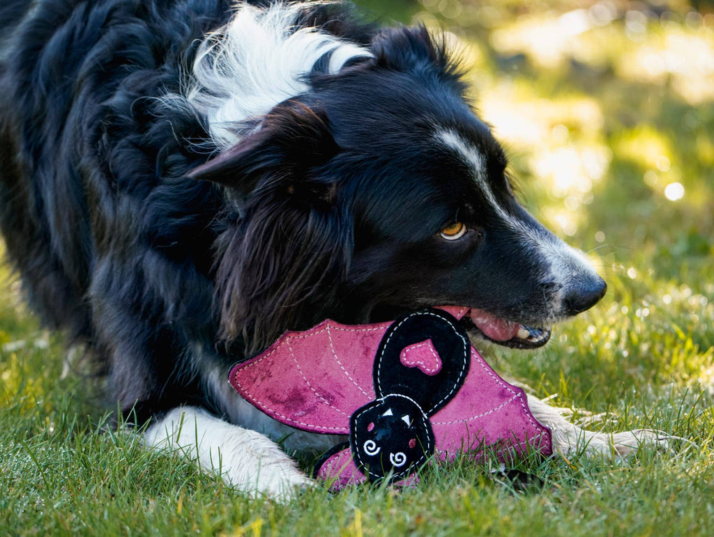 Halloween Bat NORA BATTY Eco Dog Toy