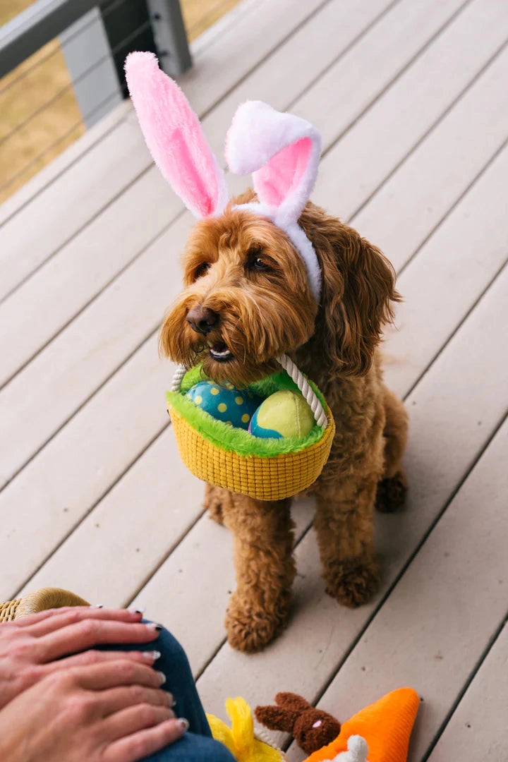 Eggs-cellent basket