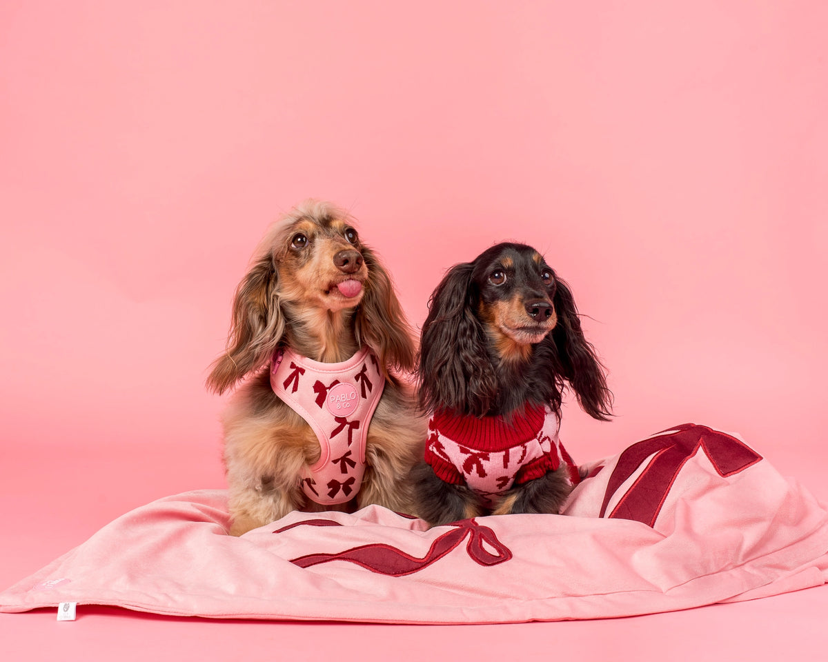 Velvet Blush Bows Dog Blanket