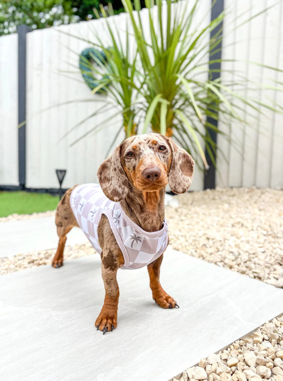 Palm tree cooling vest
