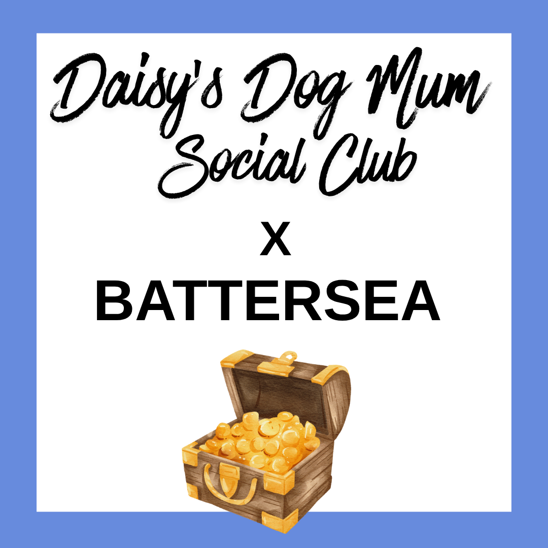 Daisy's x Battersea