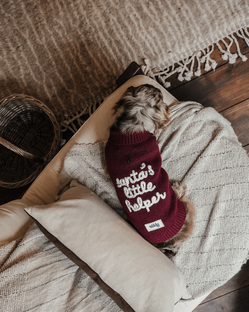 Santa's Little Helper | Roll Neck Knit Dog Jumper