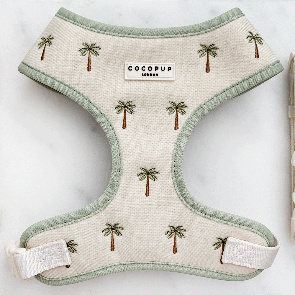 Palm Springs Adjustable Neck HARNESS