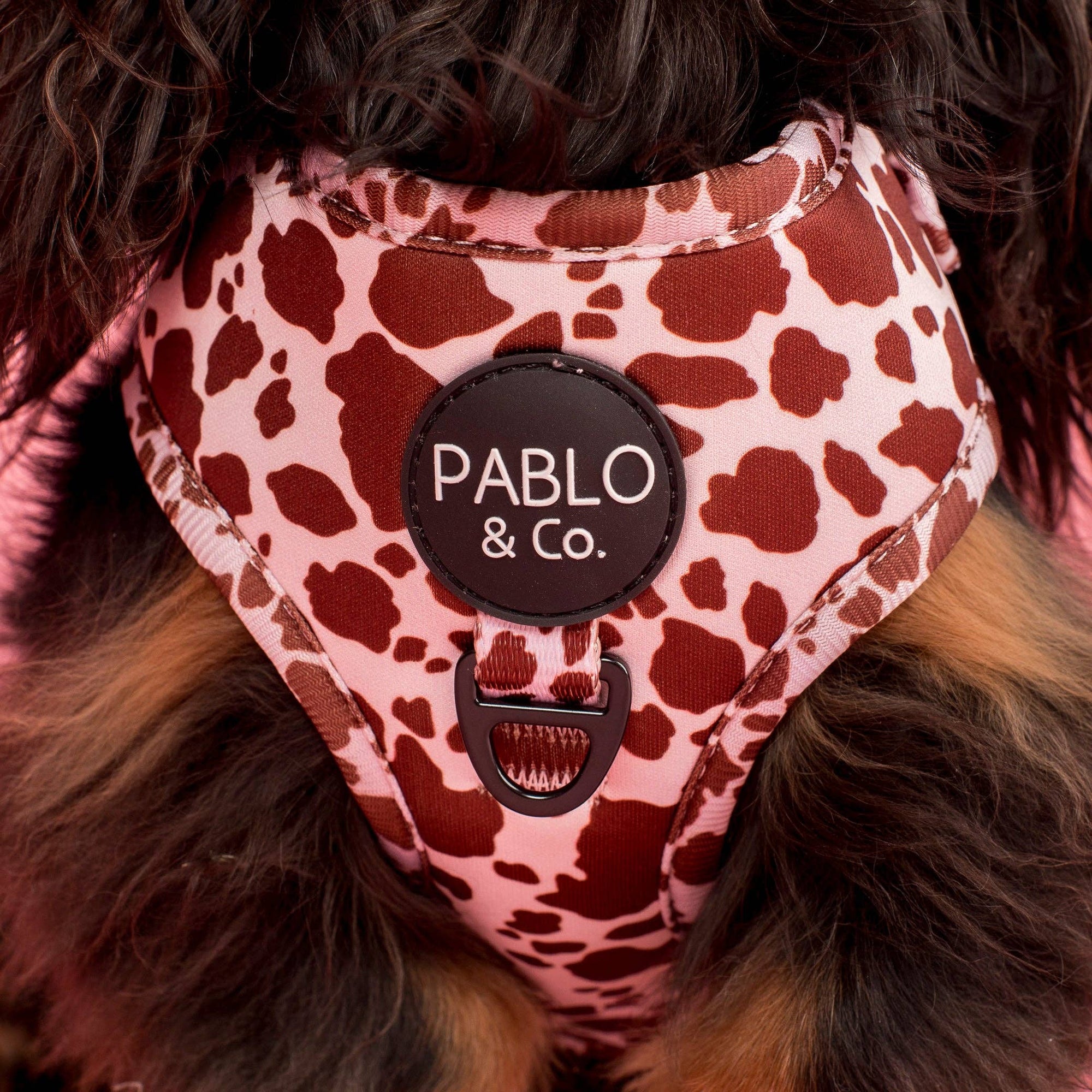 Rodeo Adjustable Dog Harness