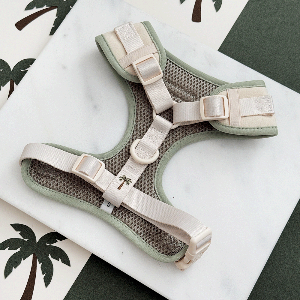 Palm Springs Adjustable Neck HARNESS