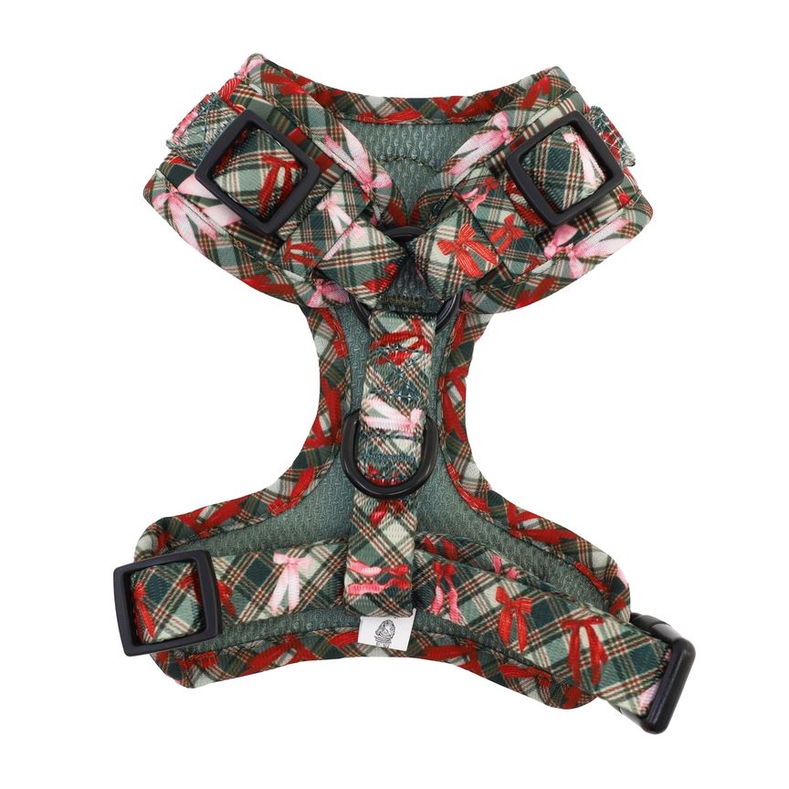 Wrapped in Ribbons Adjustable harness