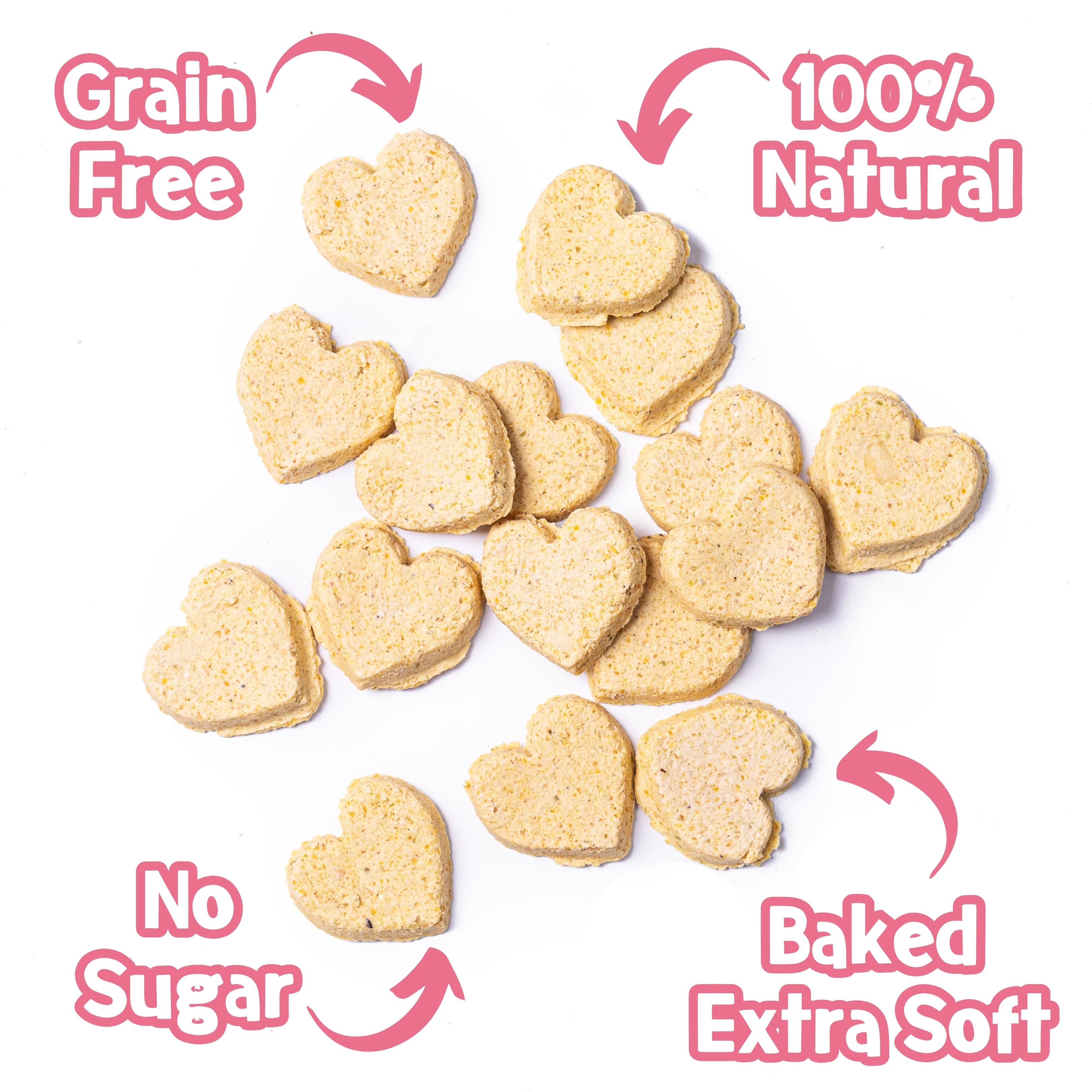 Cake-Bix Dog Biscuits Birthday Cake Flavour 100g