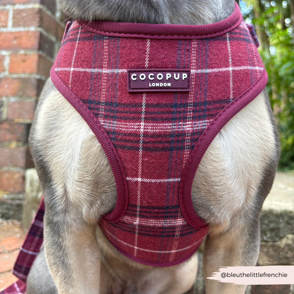 Mulberry Plaid Adjustable Neck HARNESS