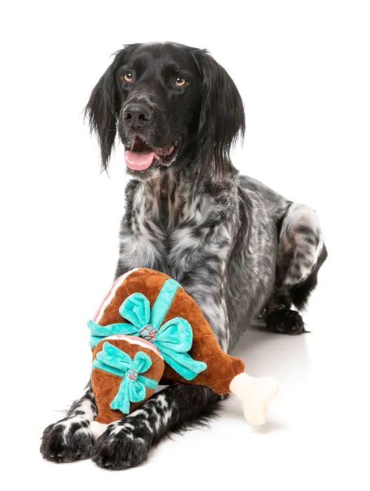 Holiday ham dog toy