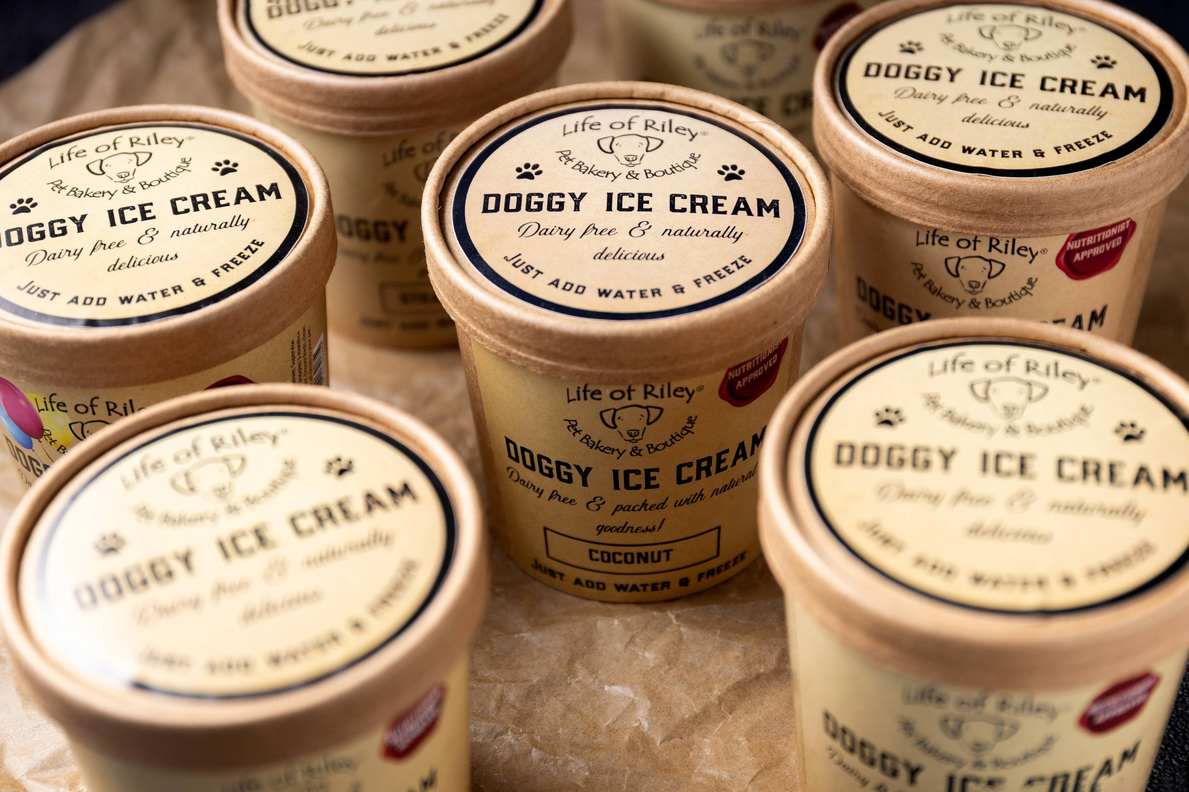 Doggy DIY Ice Cream Kits - Case of 8 Tubs
