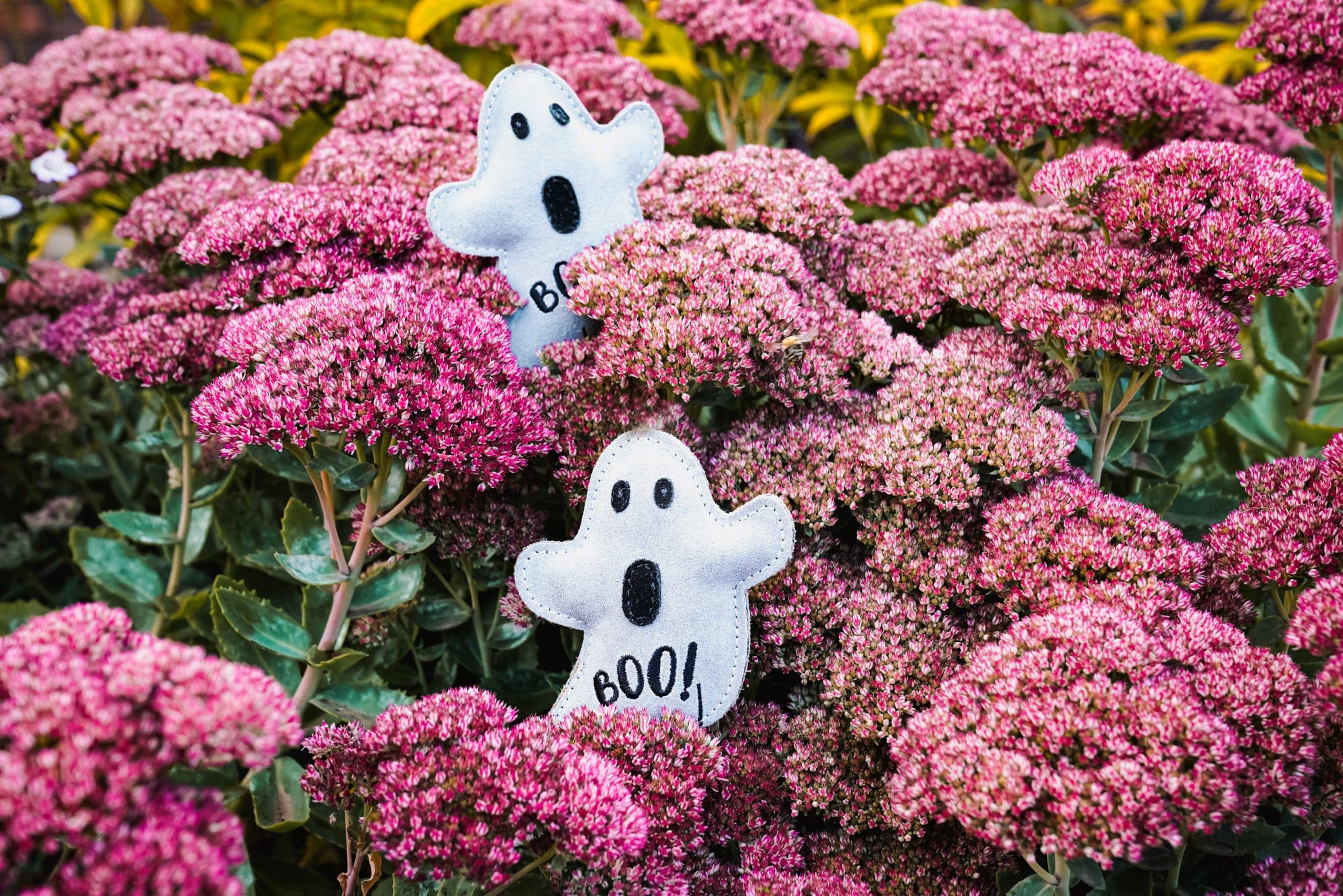 Halloween Ghost BOO PAUL Small Breed Eco Dog Toy