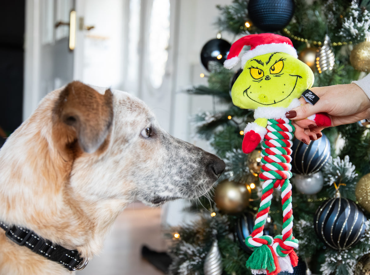 Grinch Rope Body Toy for Dogs