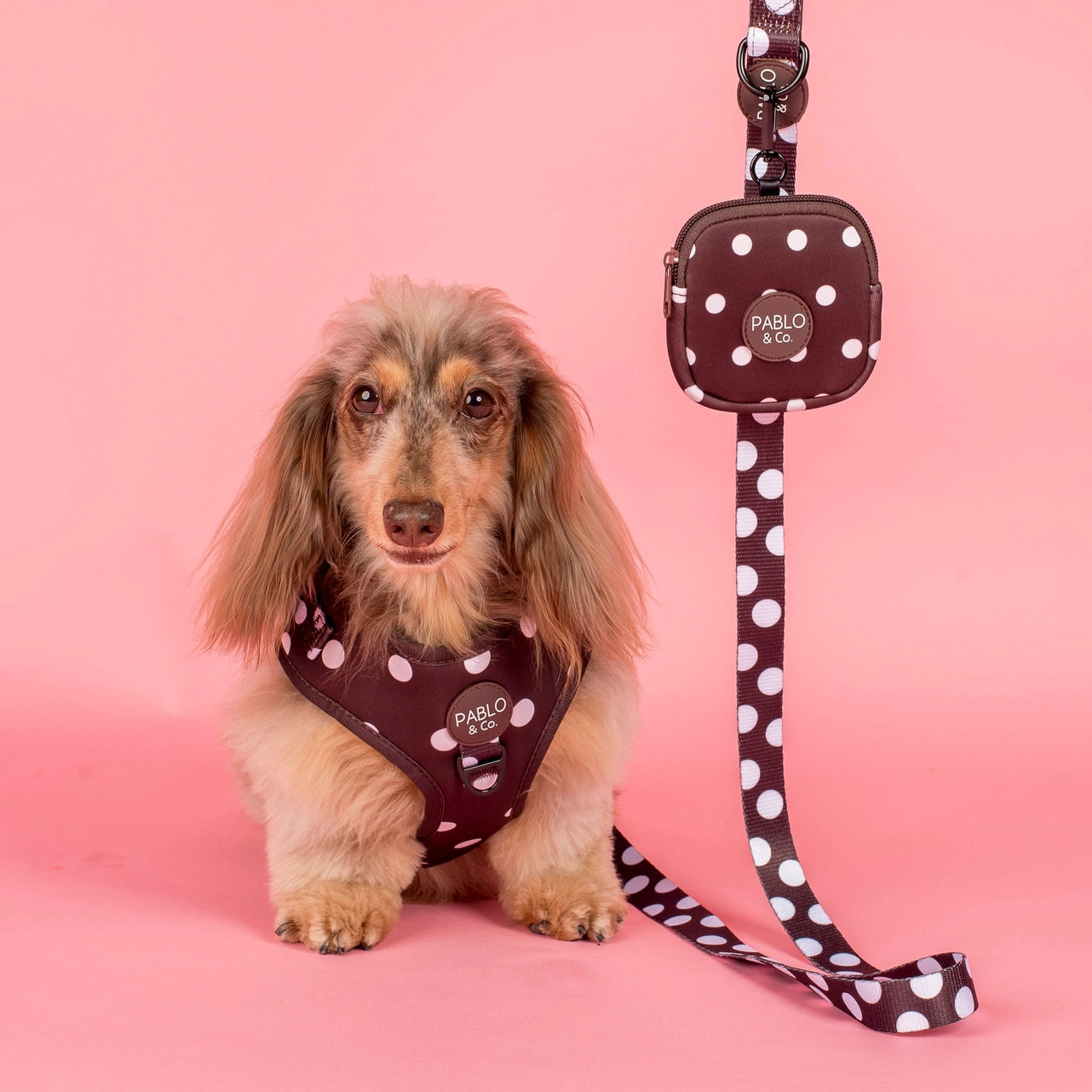 Pablo polka dot treat pouch