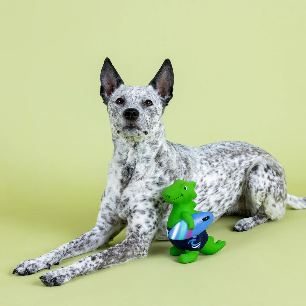 Good vibes high tides latex toy