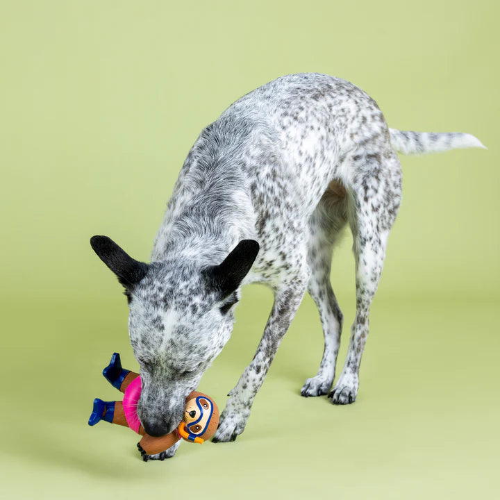 Eat sleep snorkel latex dog toy