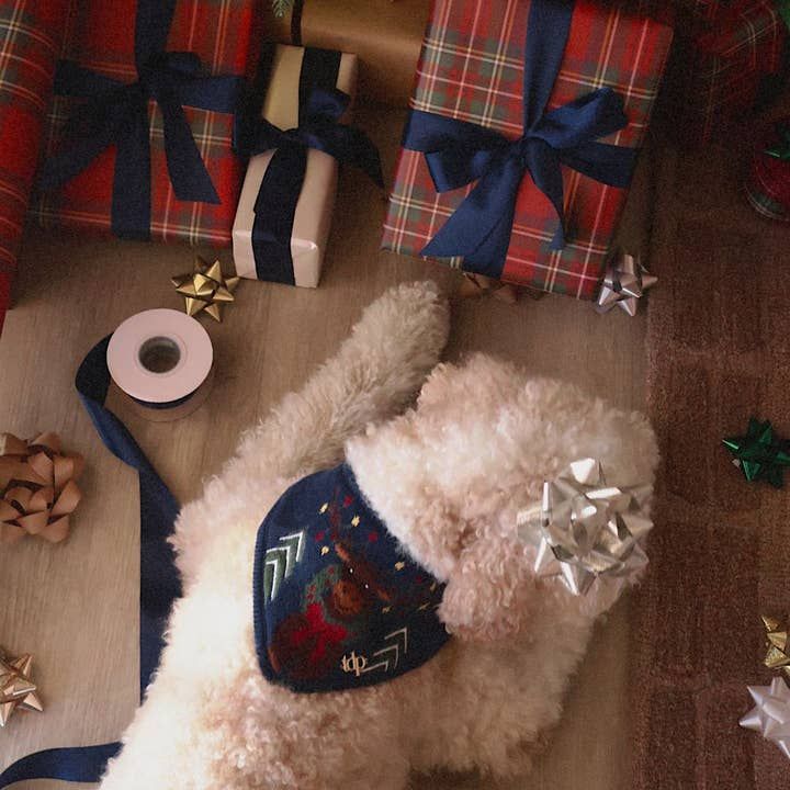 Monty the Moose bandana