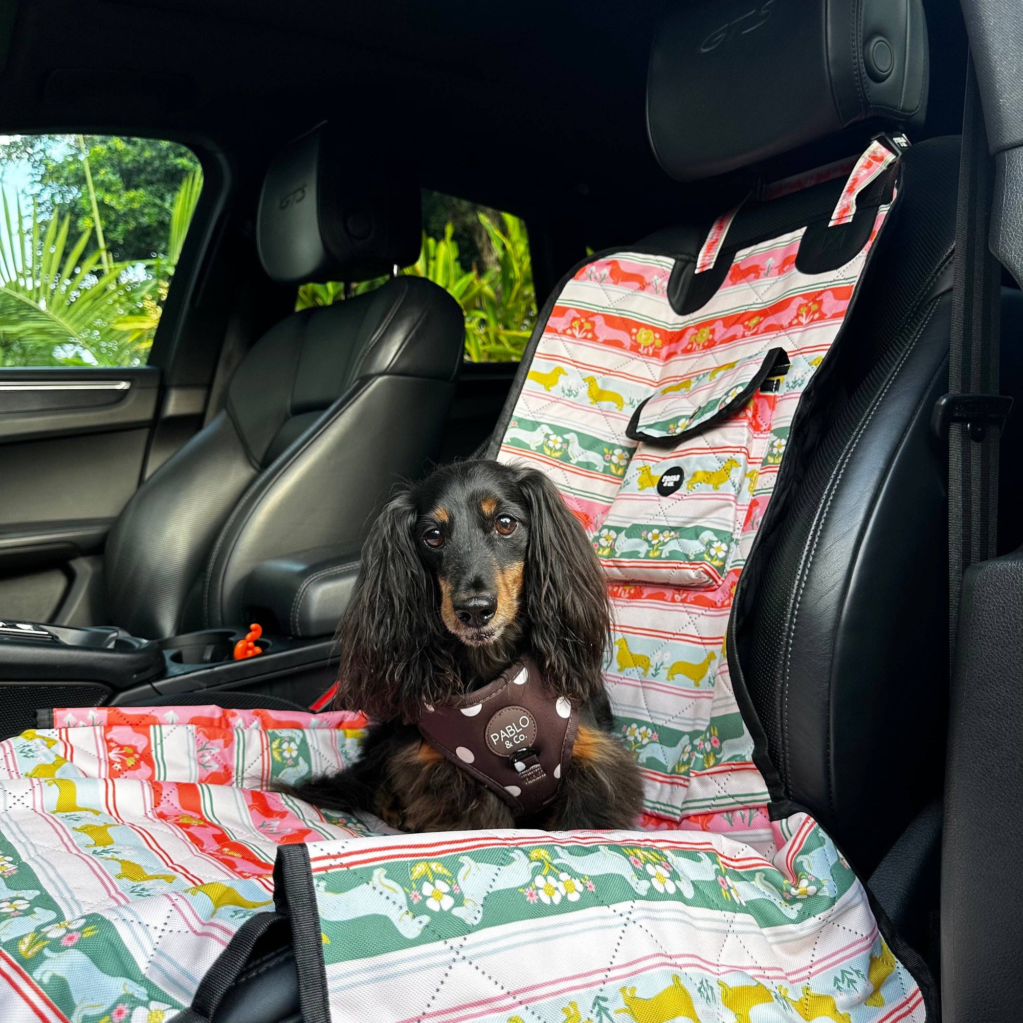 The Blooming Dachshund: Deluxe Single Dog Car Seat Cover