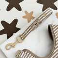 Sandy Starpaws Lead