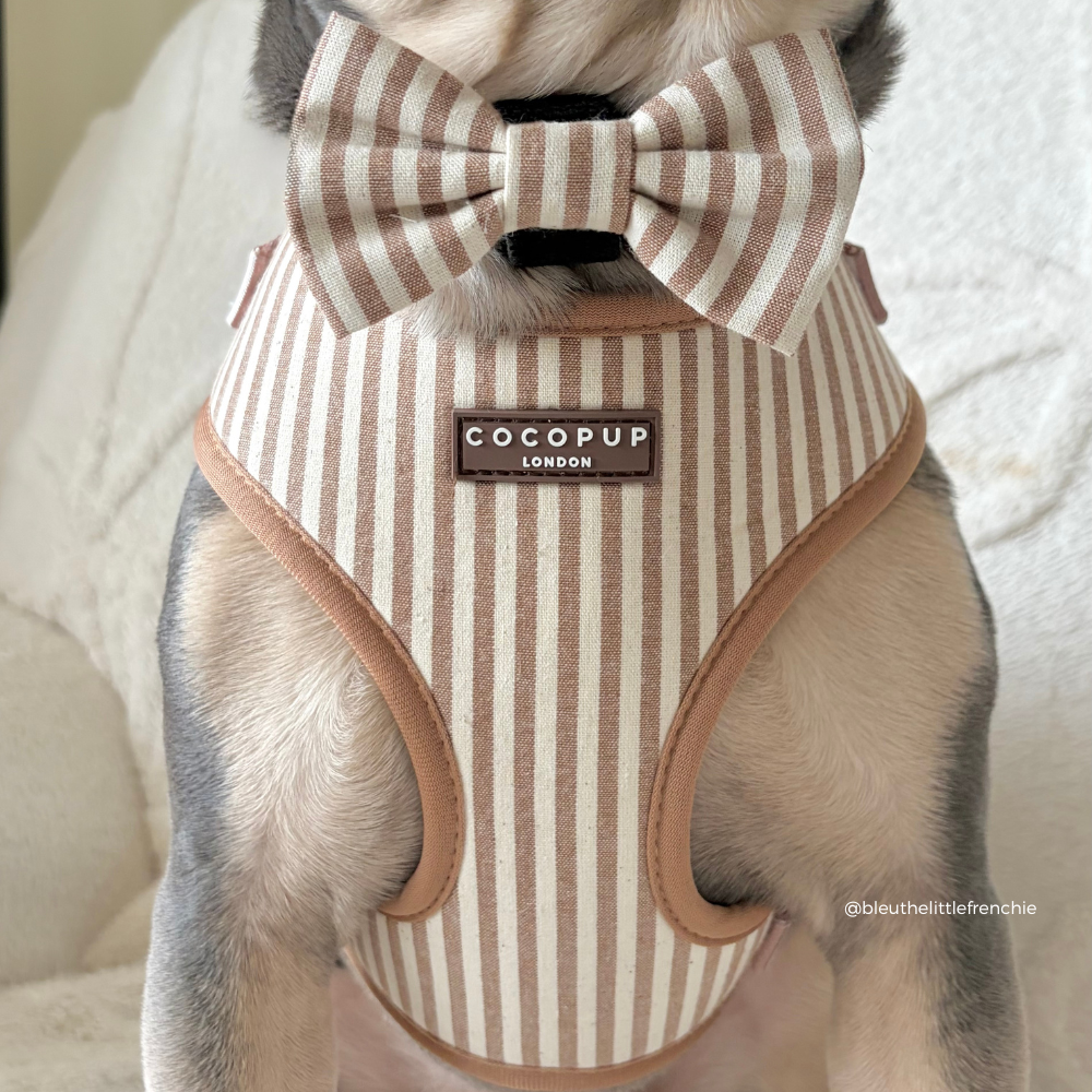 London Linen Stripes Bow Tie