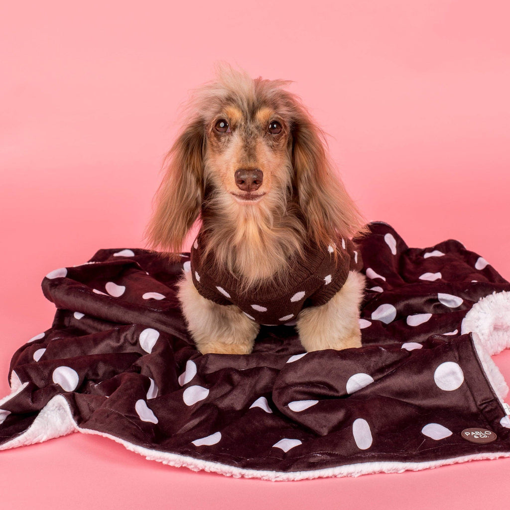 Polka Dots: Dog Blanket