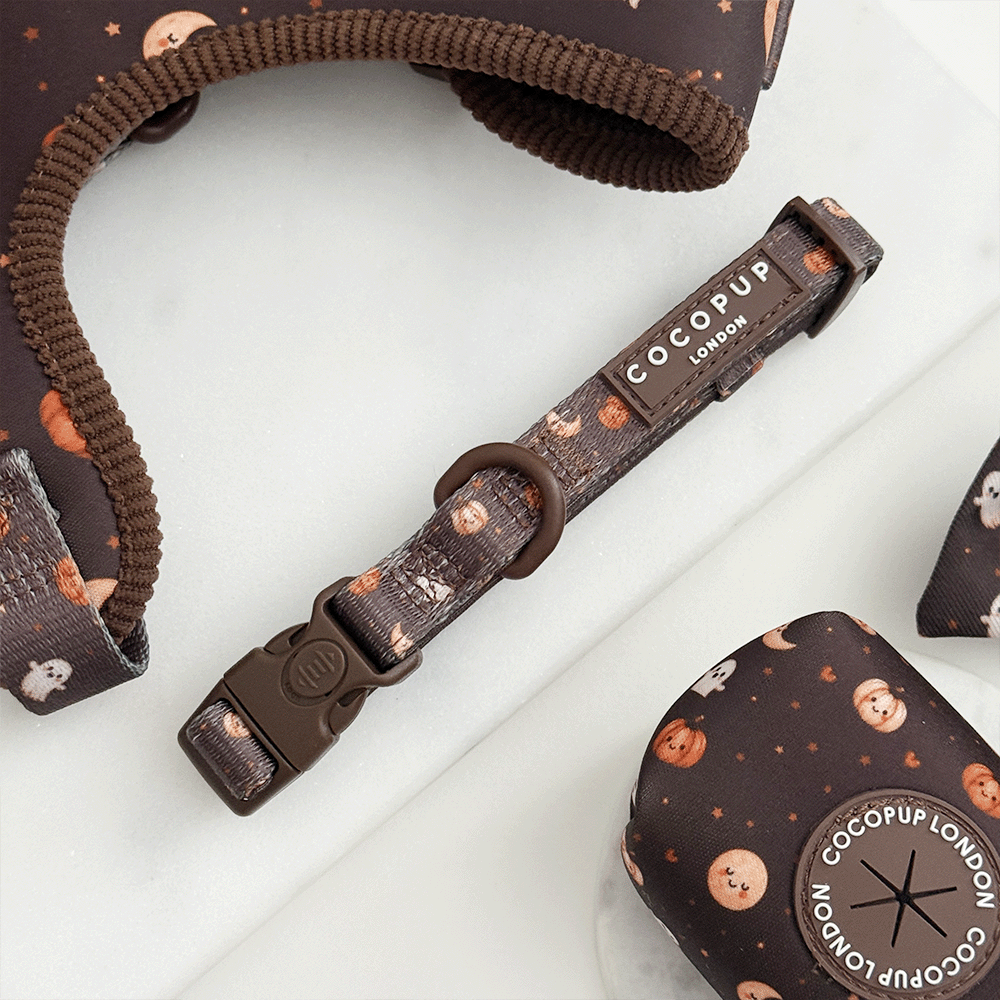 Boo Crew COLLAR