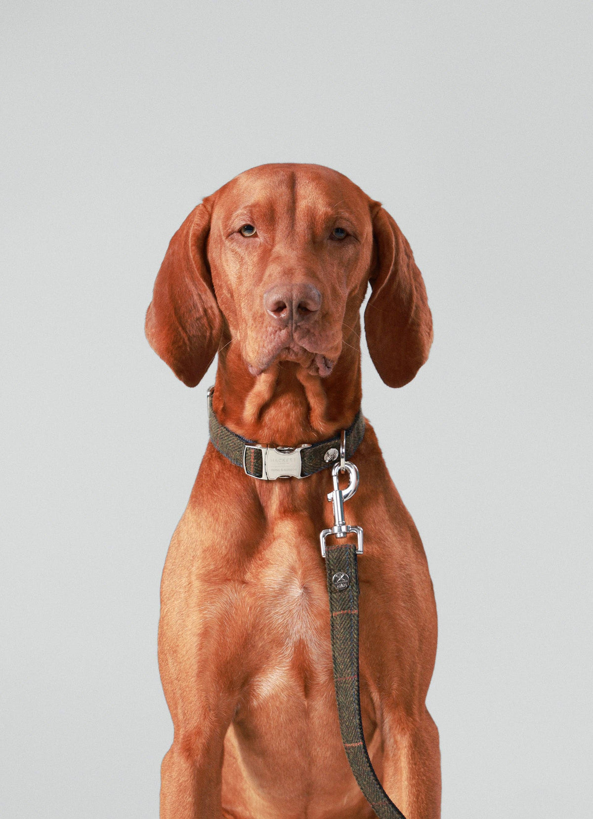 Hackett x Hugo Hudson Dark Green Checked Tweed Dog Lead