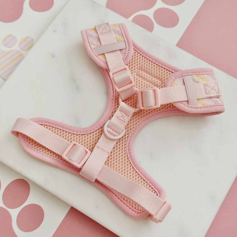Pastel Stripes Adjustable Neck HARNESS for Dogs
