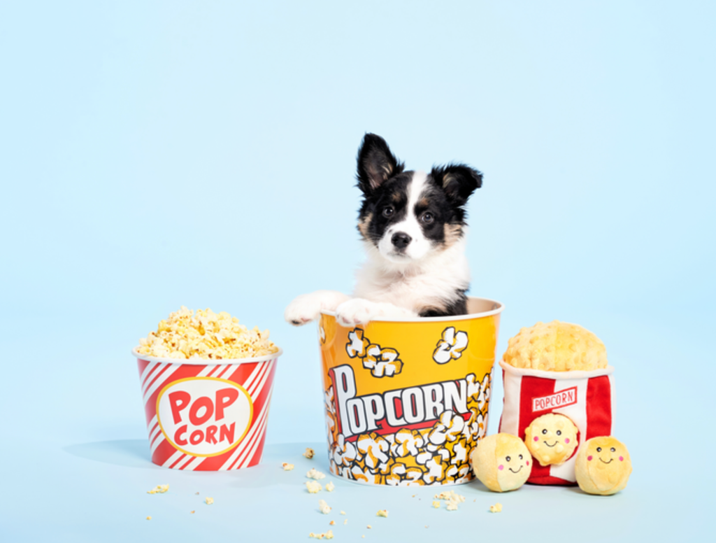 Zippy Burrow - Popcorn Bucket - Dog Toy