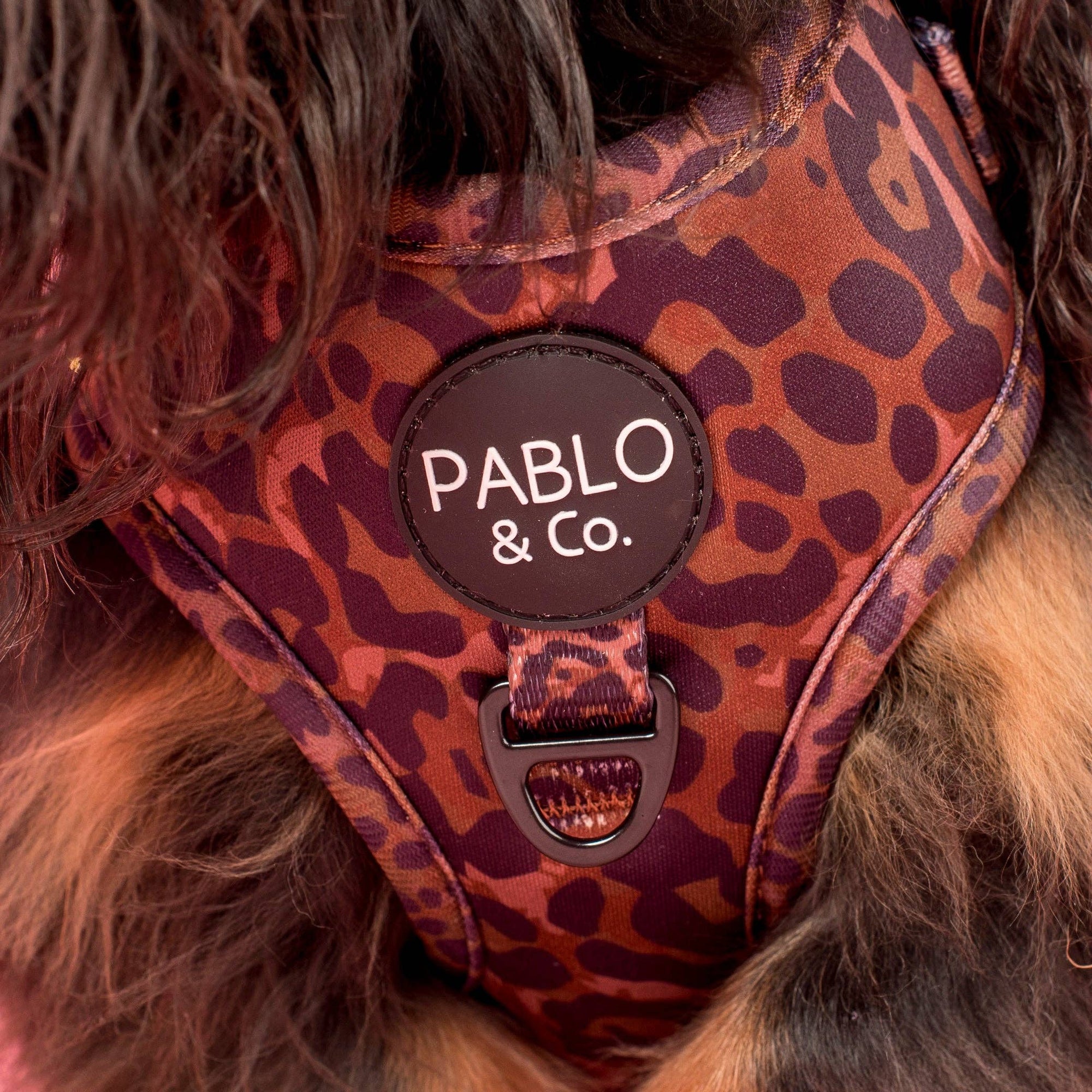 Leopard Adjustable Dog Harness