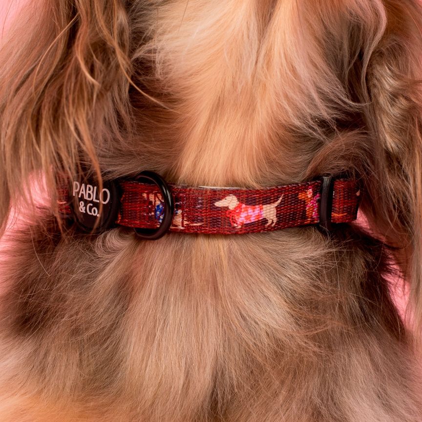 Merry Little Dachshunds collar - small