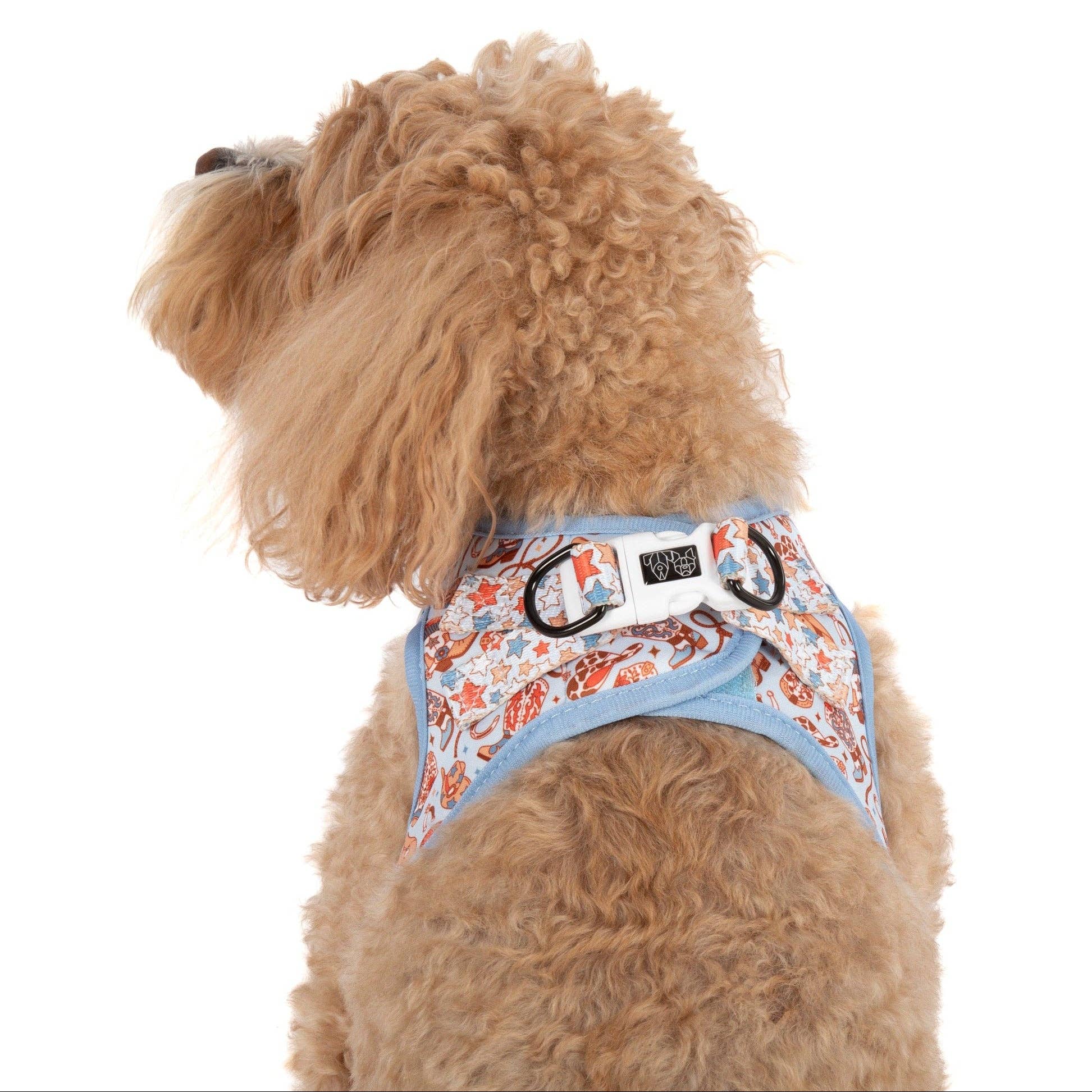 Rodeo King step-in dog harness