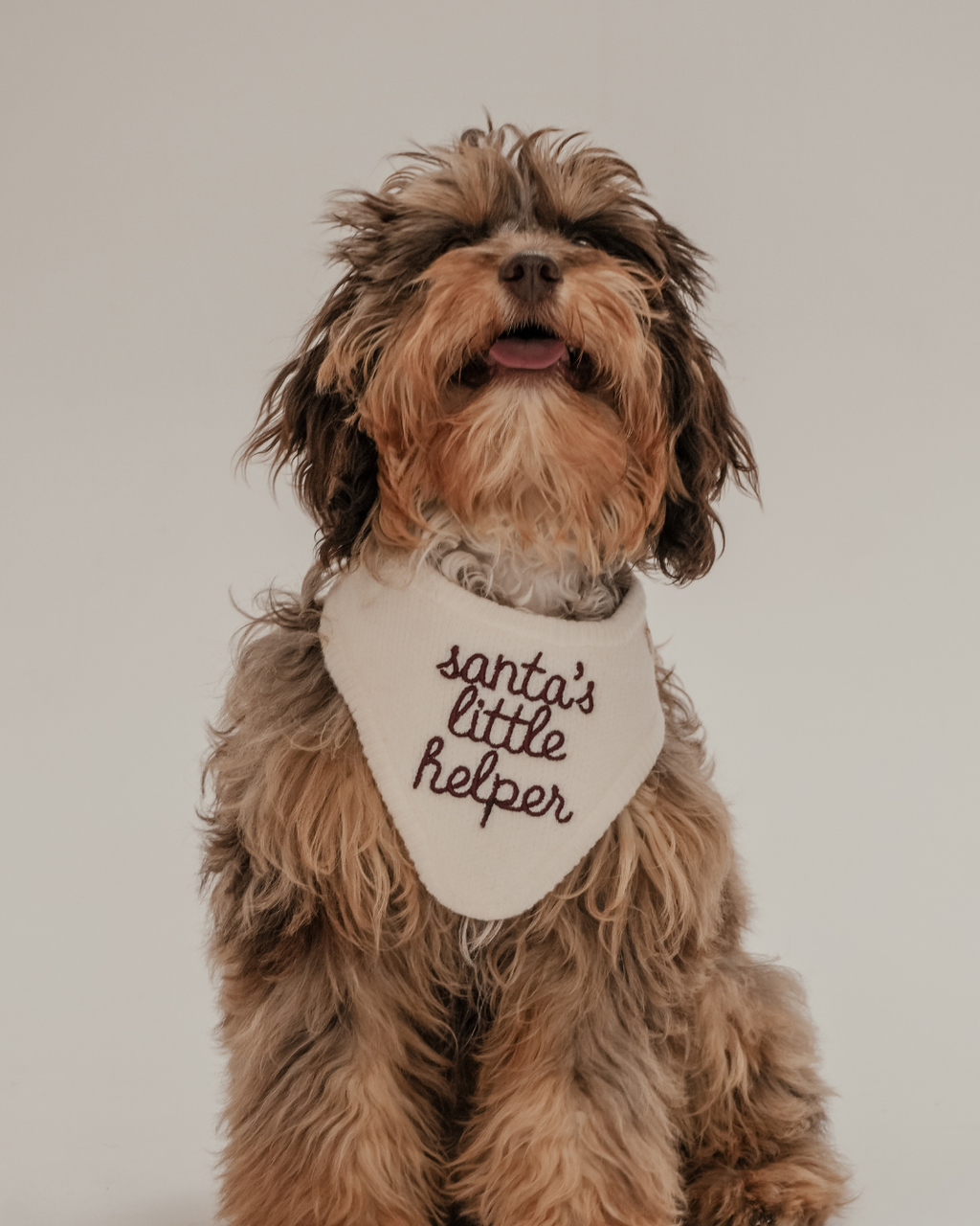 Santa's Little Helper | Knitted Bandana