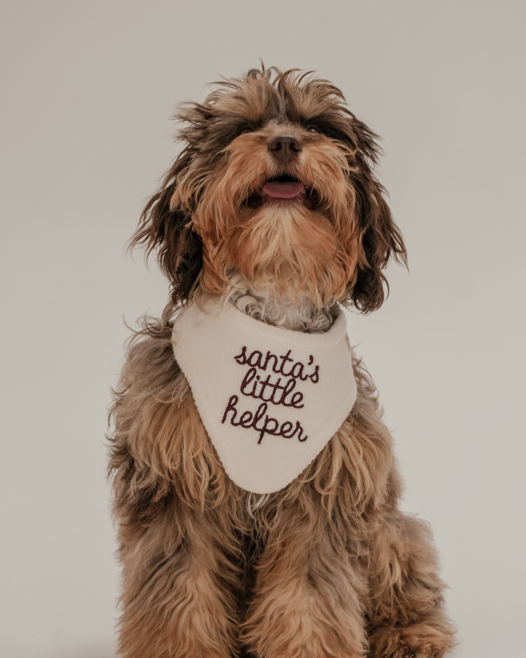 Santa's Little Helper | Knitted Bandana