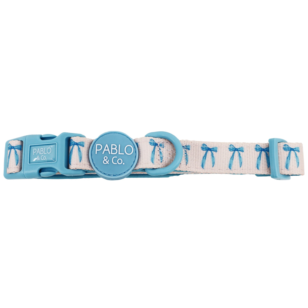Baby blue bow collar pablo & Co