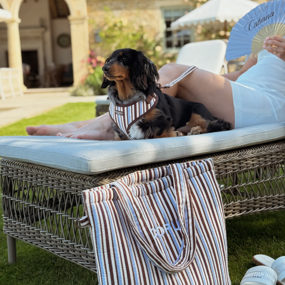 Brown & Blue Stripes Adjustable Neck  Dog HARNESS