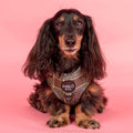 Green Plaid Adjustable Dog Harness
