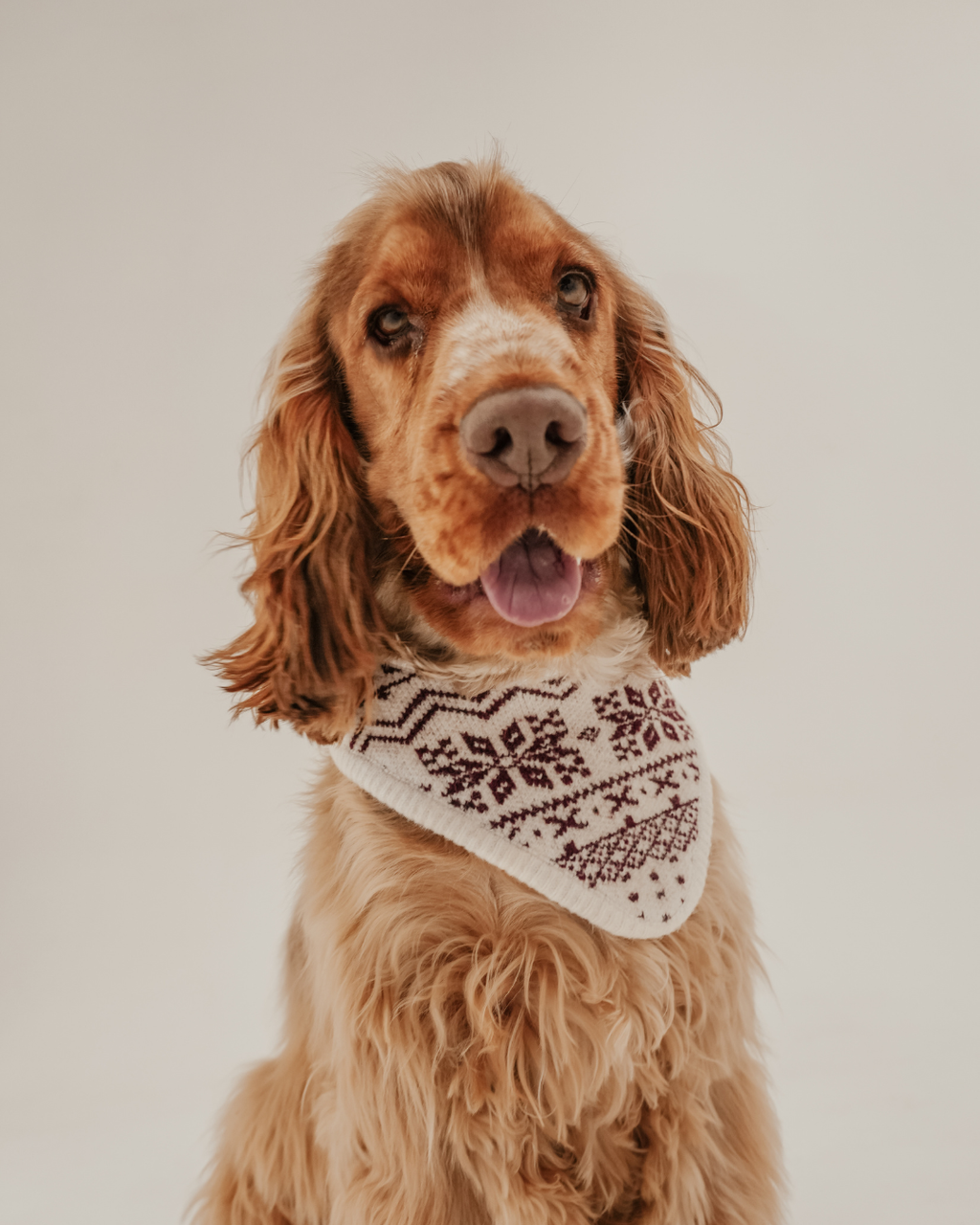 Snowberry | Après Ski Knitted Bandana