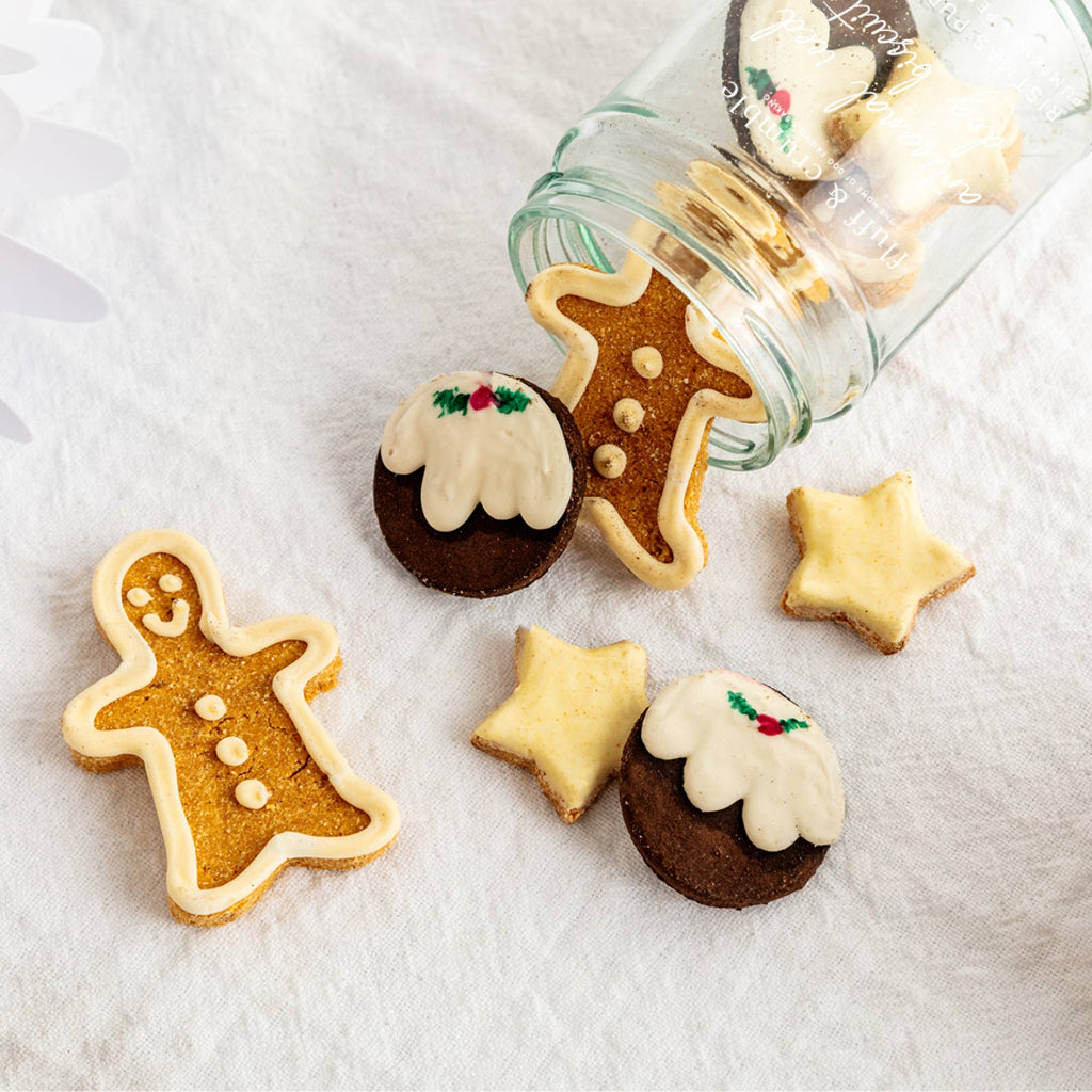 Christmas Pudding Iced Dog Biscuit Jar