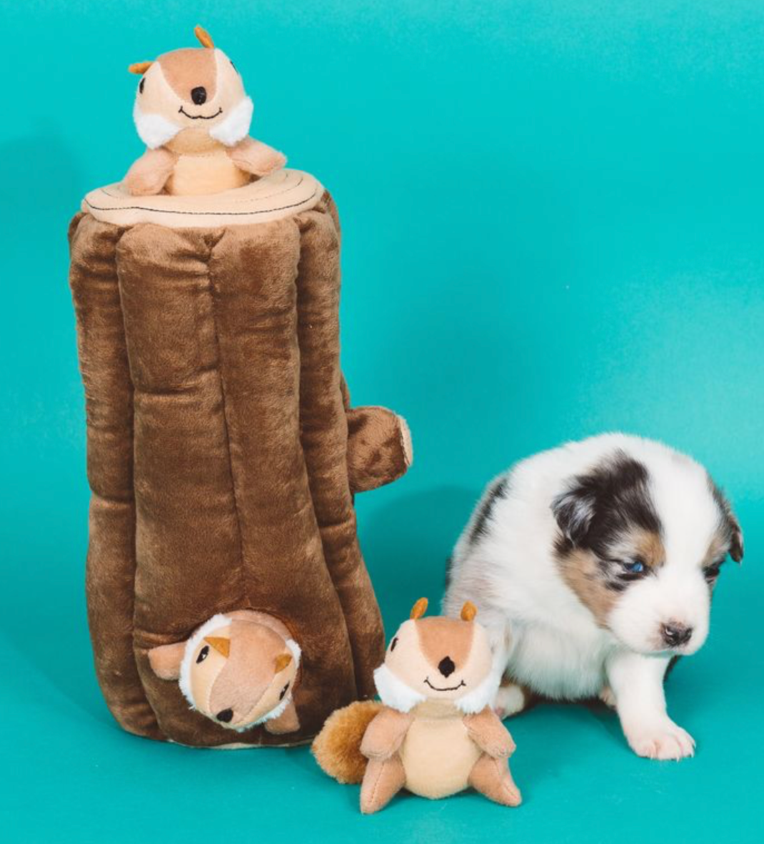 Zippy Burrow - Burrow Log with 3 Chipmunks - Dog Toy